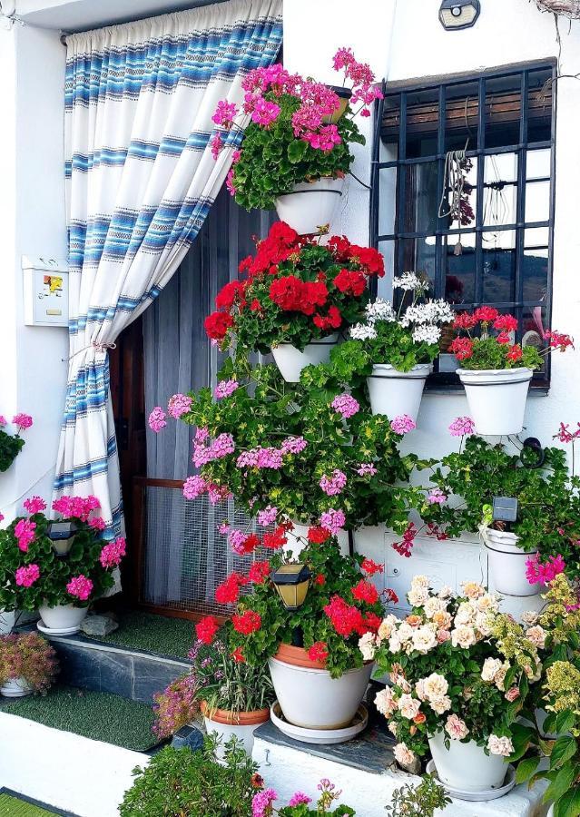 Апартаменты Casa Alhambra - Centro Historico Con Jardin Privado Гранада Экстерьер фото