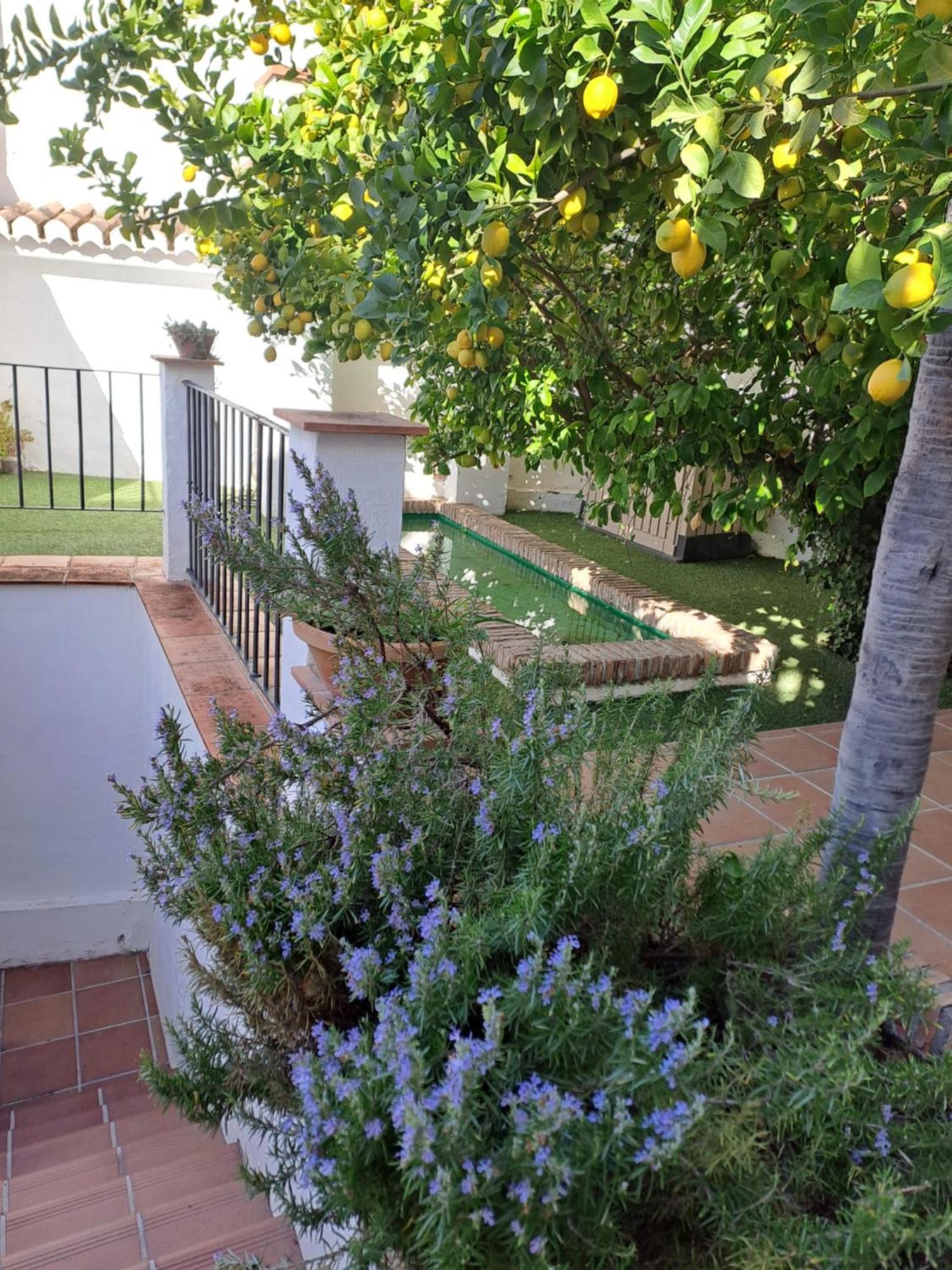 Апартаменты Casa Alhambra - Centro Historico Con Jardin Privado Гранада Экстерьер фото
