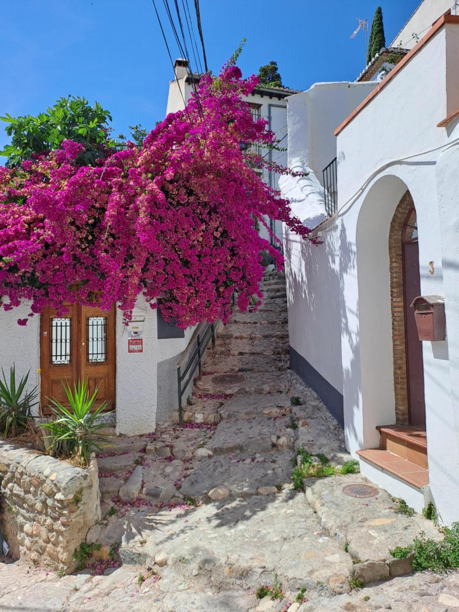 Апартаменты Casa Alhambra - Centro Historico Con Jardin Privado Гранада Экстерьер фото